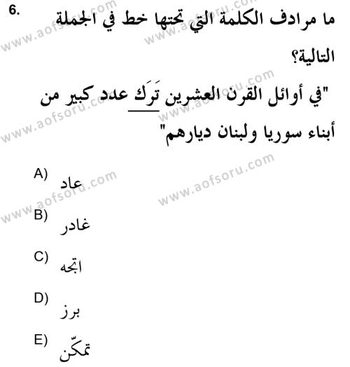 Arapça 2 (APÇ) Dersi 2021 - 2022 Yılı (Final) Dönem Sonu Sınavı 6. Soru