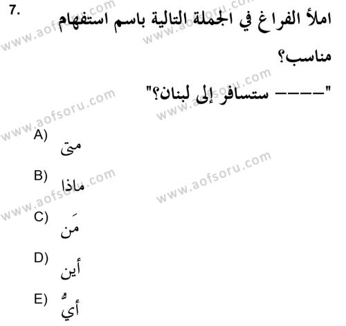 Arapça 2 (APÇ) Dersi 2021 - 2022 Yılı (Final) Dönem Sonu Sınavı 7. Soru