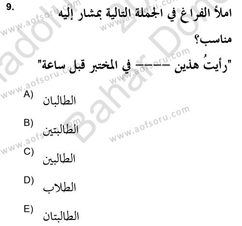 Arapça 2 (APÇ) Dersi 2021 - 2022 Yılı (Final) Dönem Sonu Sınavı 9. Soru