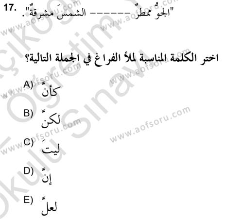 Arapça 2 (APÇ) Dersi 2021 - 2022 Yılı Yaz Okulu Sınavı 17. Soru
