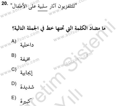 Arapça 2 (APÇ) Dersi 2021 - 2022 Yılı Yaz Okulu Sınavı 20. Soru