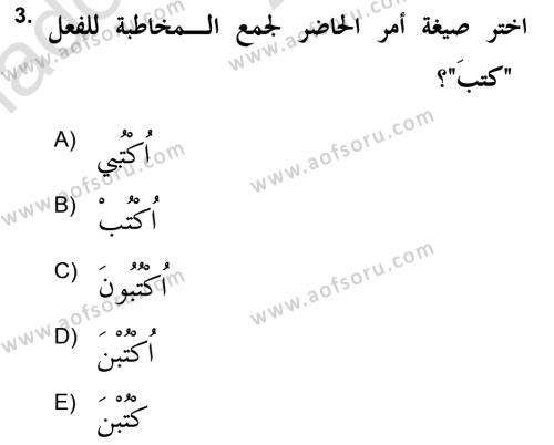 Arapça 2 (APÇ) Dersi 2021 - 2022 Yılı Yaz Okulu Sınavı 3. Soru