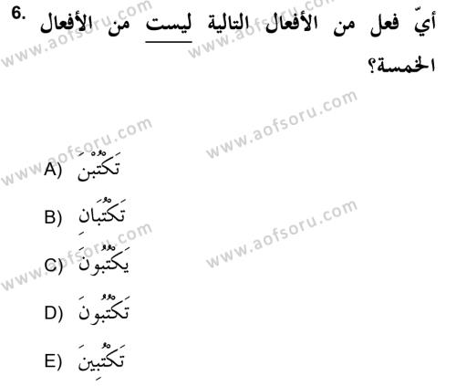 Arapça 2 (APÇ) Dersi 2021 - 2022 Yılı Yaz Okulu Sınavı 6. Soru