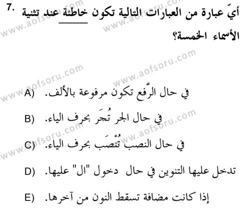 Arapça 2 (APÇ) Dersi 2021 - 2022 Yılı Yaz Okulu Sınavı 7. Soru