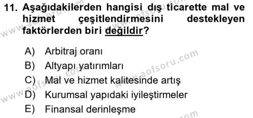 Dış Ticarete Giriş Dersi 2022 - 2023 Yılı Yaz Okulu Sınavı 11. Soru