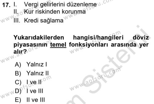 Uluslararası Ticaret Dersi 2021 - 2022 Yılı Yaz Okulu Sınavı 17. Soru