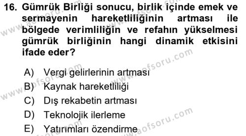 Uluslararası Ticaret Dersi 2023 - 2024 Yılı (Vize) Ara Sınavı 16. Soru