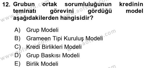 Dış Ticarette Girişimcilik Dersi 2021 - 2022 Yılı (Vize) Ara Sınavı 12. Soru