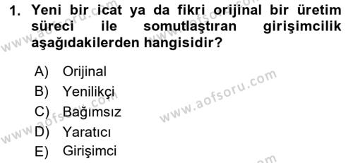 Dış Ticarette Girişimcilik Dersi 2021 - 2022 Yılı Yaz Okulu Sınavı 1. Soru