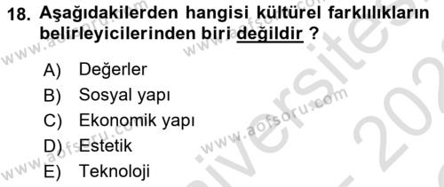 Dış Ticarette Girişimcilik Dersi 2021 - 2022 Yılı Yaz Okulu Sınavı 18. Soru