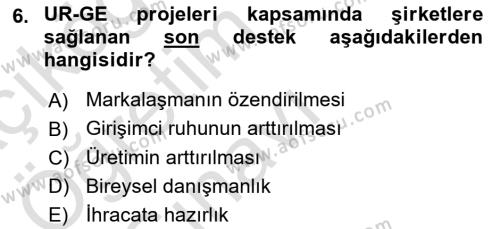 Dış Ticarette Girişimcilik Dersi 2022 - 2023 Yılı Yaz Okulu Sınavı 6. Soru