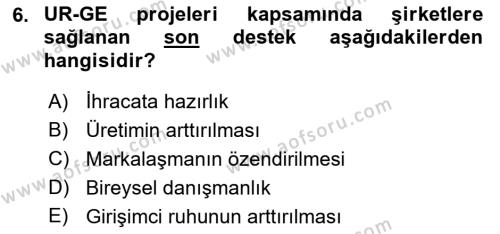 Dış Ticarette Girişimcilik Dersi 2023 - 2024 Yılı (Vize) Ara Sınavı 6. Soru