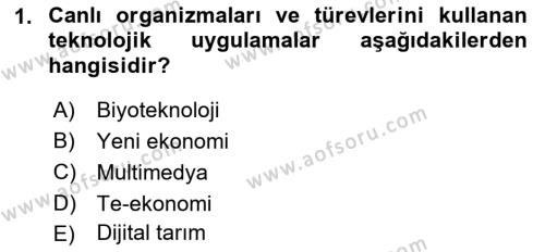 Dış Ticarette Bilgisayar Uygulamaları Dersi 2021 - 2022 Yılı (Vize) Ara Sınavı 1. Soru