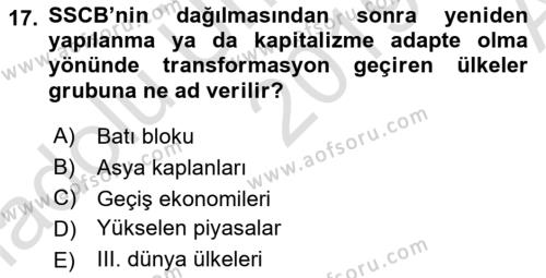 Dünya Ekonomisi Dersi 2019 - 2020 Yılı (Vize) Ara Sınavı 17. Soru