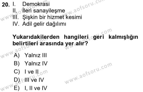 Dünya Ekonomisi Dersi 2019 - 2020 Yılı (Vize) Ara Sınavı 20. Soru