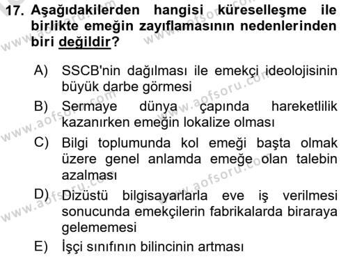 Dünya Ekonomisi Dersi 2020 - 2021 Yılı Yaz Okulu Sınavı 17. Soru