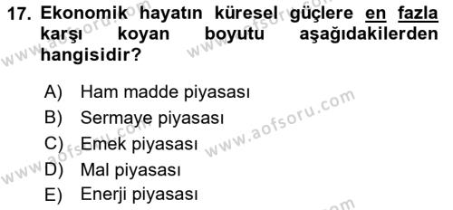 Dünya Ekonomisi Dersi 2022 - 2023 Yılı (Final) Dönem Sonu Sınavı 17. Soru