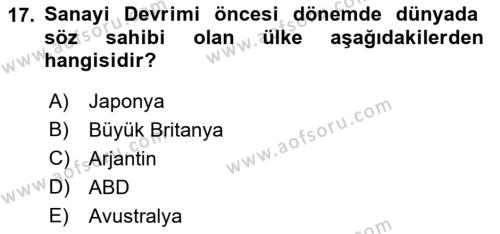 Dünya Ekonomisi Dersi 2022 - 2023 Yılı Yaz Okulu Sınavı 17. Soru