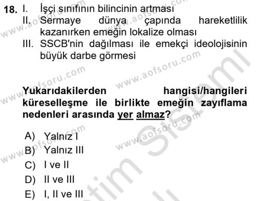 Dünya Ekonomisi Dersi 2022 - 2023 Yılı Yaz Okulu Sınavı 18. Soru