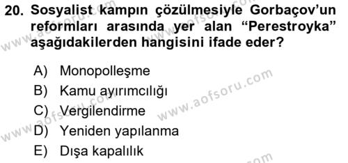 Dünya Ekonomisi Dersi 2022 - 2023 Yılı Yaz Okulu Sınavı 20. Soru