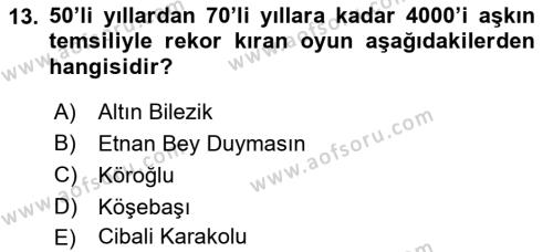 Türk Tiyatrosu Dersi 2018 - 2019 Yılı 3 Ders Sınavı 13. Soru