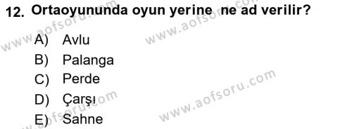 Türk Tiyatrosu Dersi 2018 - 2019 Yılı (Vize) Ara Sınavı 12. Soru