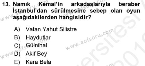 Türk Tiyatrosu Dersi 2018 - 2019 Yılı (Vize) Ara Sınavı 13. Soru