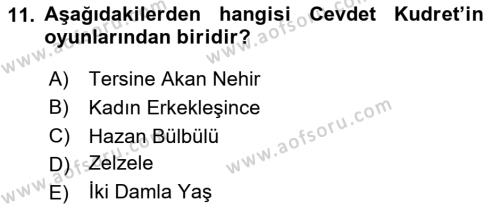 Türk Tiyatrosu Dersi 2020 - 2021 Yılı Yaz Okulu Sınavı 11. Soru