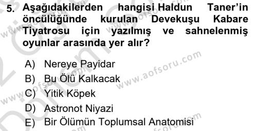 Türk Tiyatrosu Dersi 2021 - 2022 Yılı (Final) Dönem Sonu Sınavı 5. Soru