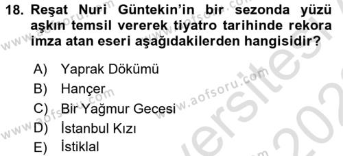 Türk Tiyatrosu Dersi 2021 - 2022 Yılı Yaz Okulu Sınavı 18. Soru