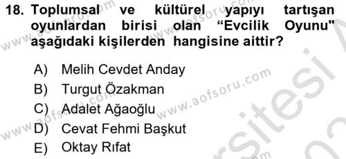 Türk Tiyatrosu Dersi 2022 - 2023 Yılı Yaz Okulu Sınavı 18. Soru