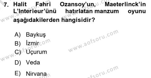 Türk Tiyatrosu Dersi 2023 - 2024 Yılı (Vize) Ara Sınavı 7. Soru