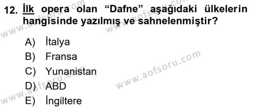 Türk Tiyatrosu Dersi 2023 - 2024 Yılı (Final) Dönem Sonu Sınavı 12. Soru