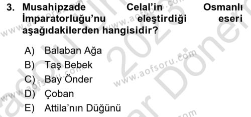 Türk Tiyatrosu Dersi 2023 - 2024 Yılı (Final) Dönem Sonu Sınavı 3. Soru