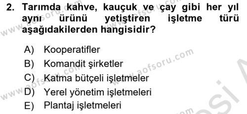 Tarım Ekonomisi Dersi 2021 - 2022 Yılı Yaz Okulu Sınavı 2. Soru