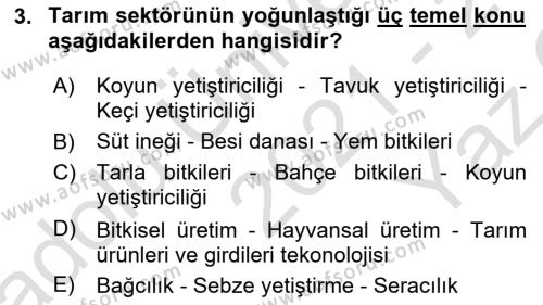 Tarım Ekonomisi Dersi 2021 - 2022 Yılı Yaz Okulu Sınavı 3. Soru