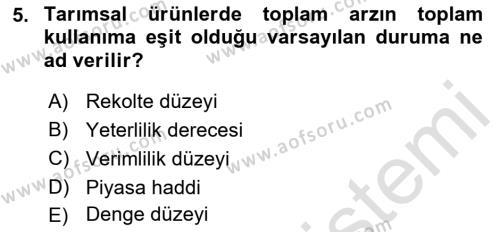 Tarım Ekonomisi Dersi 2021 - 2022 Yılı Yaz Okulu Sınavı 5. Soru