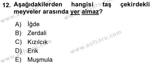 Tarım Ekonomisi Dersi 2023 - 2024 Yılı (Vize) Ara Sınavı 12. Soru