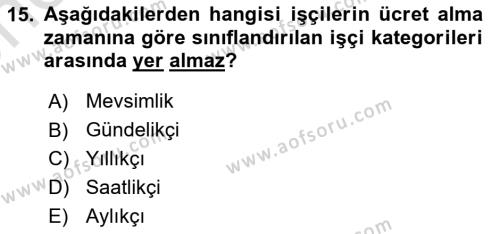 Tarım Ekonomisi Dersi 2023 - 2024 Yılı (Vize) Ara Sınavı 15. Soru