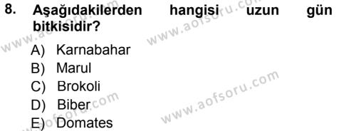 Bahçe Tarımı 1 Dersi 2012 - 2013 Yılı (Vize) Ara Sınavı 8. Soru