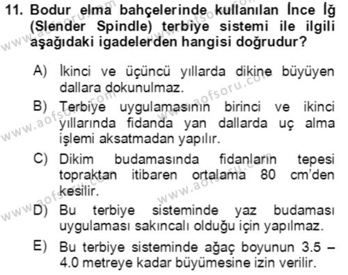 Bahçe Tarımı 1 Dersi 2020 - 2021 Yılı Yaz Okulu Sınavı 11. Soru