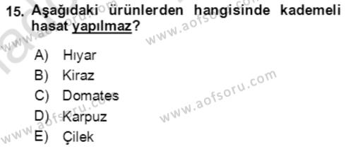 Bahçe Tarımı 1 Dersi 2020 - 2021 Yılı Yaz Okulu Sınavı 15. Soru