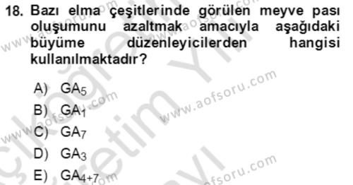 Bahçe Tarımı 1 Dersi 2020 - 2021 Yılı Yaz Okulu Sınavı 18. Soru