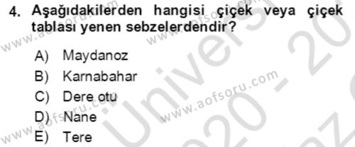 Bahçe Tarımı 1 Dersi 2020 - 2021 Yılı Yaz Okulu Sınavı 4. Soru