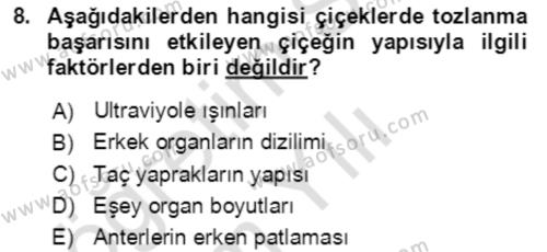 Bahçe Tarımı 1 Dersi 2020 - 2021 Yılı Yaz Okulu Sınavı 8. Soru