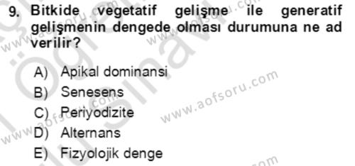 Bahçe Tarımı 1 Dersi 2020 - 2021 Yılı Yaz Okulu Sınavı 9. Soru