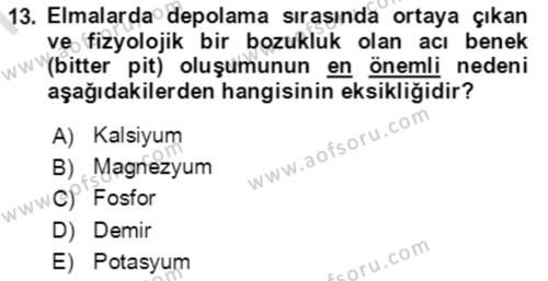 Bahçe Tarımı 1 Dersi 2021 - 2022 Yılı (Final) Dönem Sonu Sınavı 13. Soru