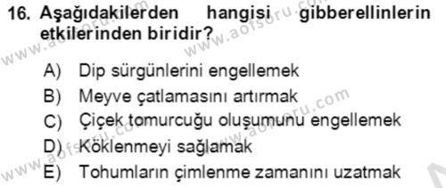 Bahçe Tarımı 1 Dersi 2021 - 2022 Yılı (Final) Dönem Sonu Sınavı 16. Soru