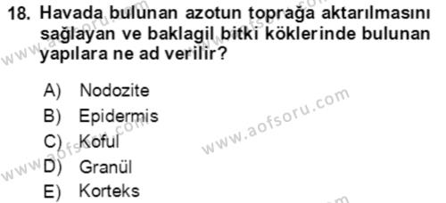 Bahçe Tarımı 1 Dersi 2021 - 2022 Yılı (Final) Dönem Sonu Sınavı 18. Soru