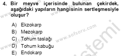 Bahçe Tarımı 1 Dersi 2021 - 2022 Yılı (Final) Dönem Sonu Sınavı 4. Soru